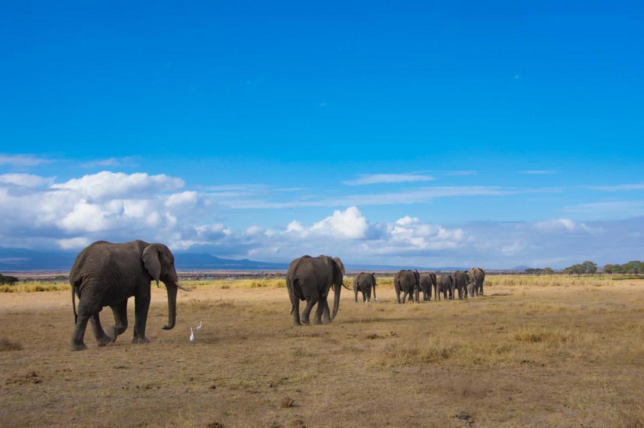 Amboseli Cultural Camping المظهر الخارجي الصورة