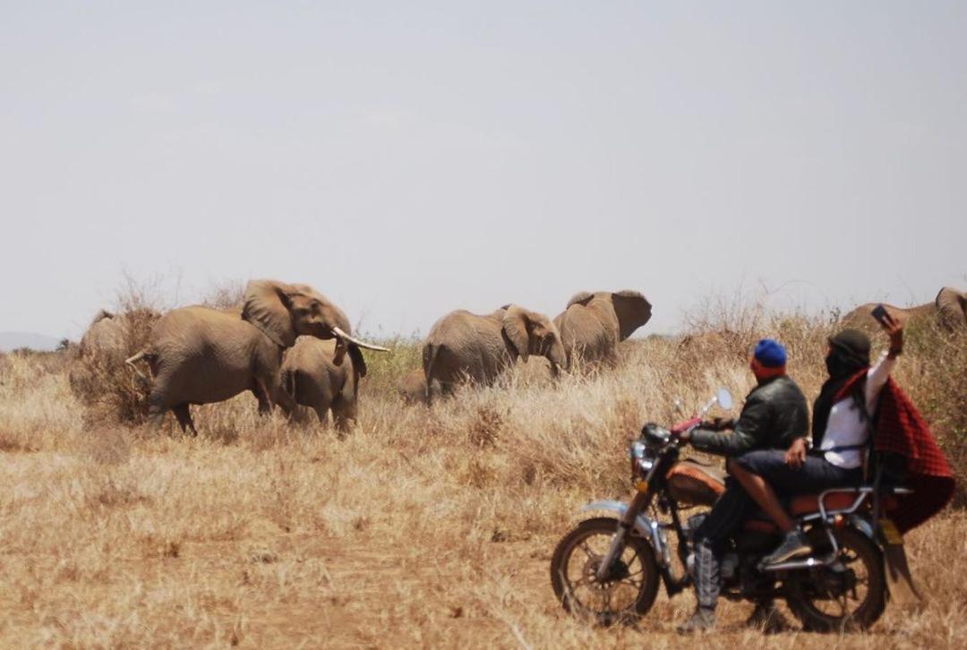 Amboseli Cultural Camping المظهر الخارجي الصورة