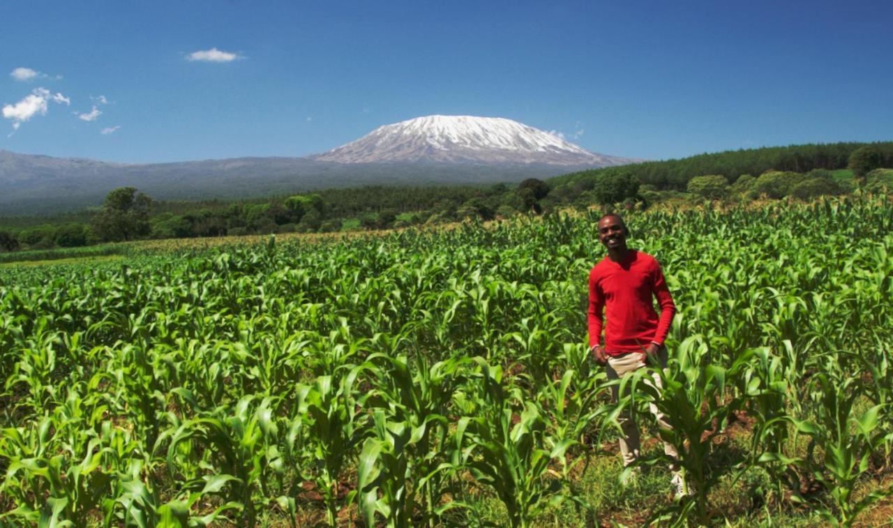 Amboseli Cultural Camping المظهر الخارجي الصورة