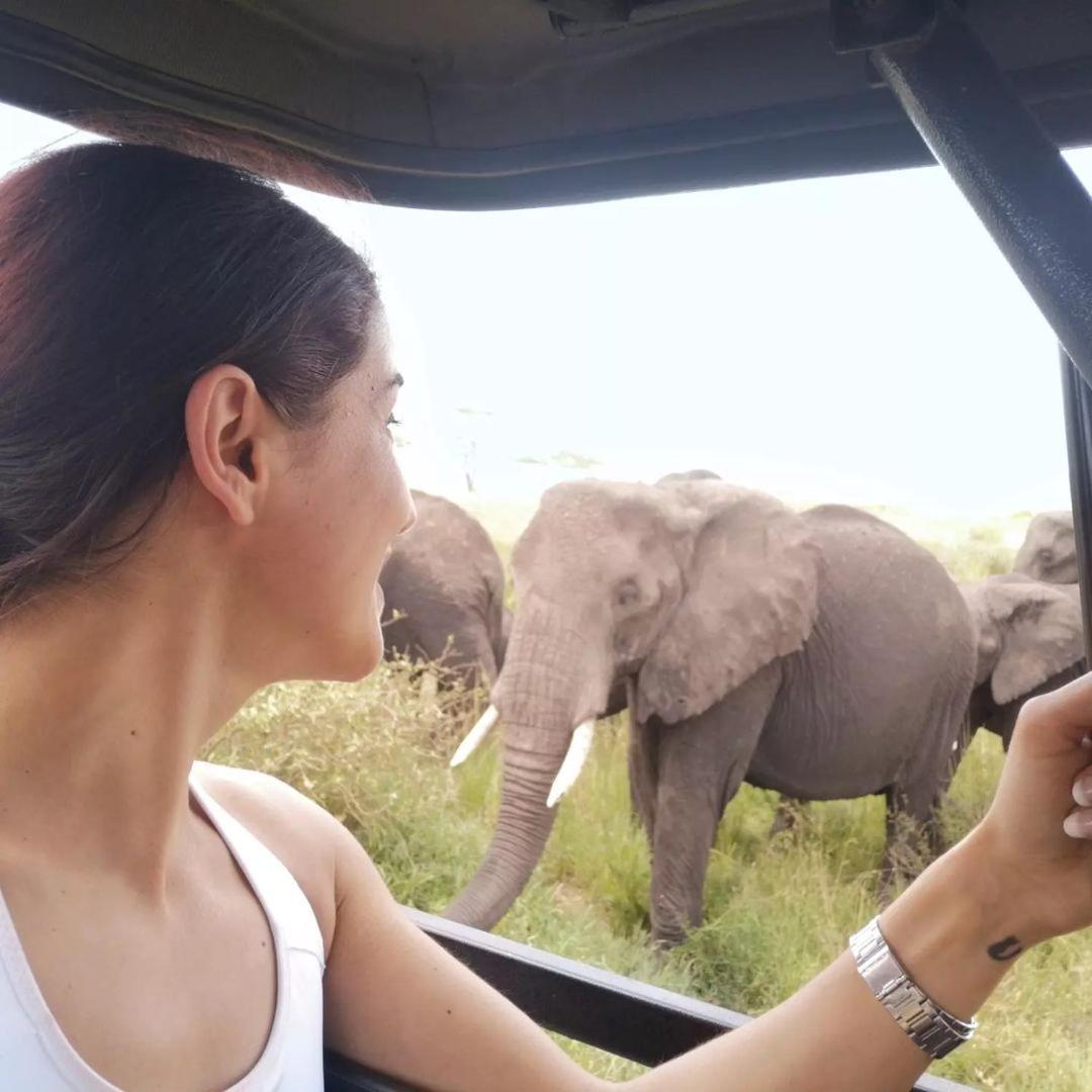 Amboseli Cultural Camping المظهر الخارجي الصورة