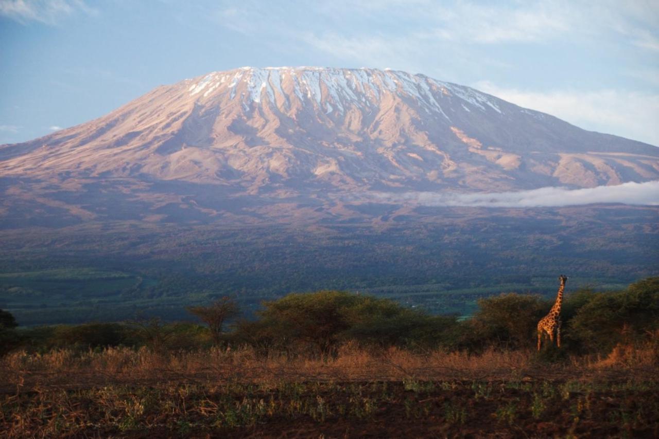 Amboseli Cultural Camping المظهر الخارجي الصورة